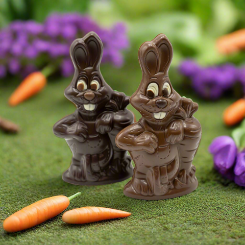 Bunny and Carrot