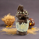 Bunny & Duck in egg