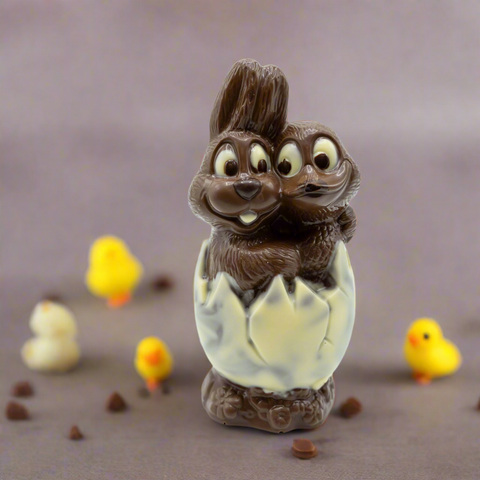 Bunny & Duck in egg