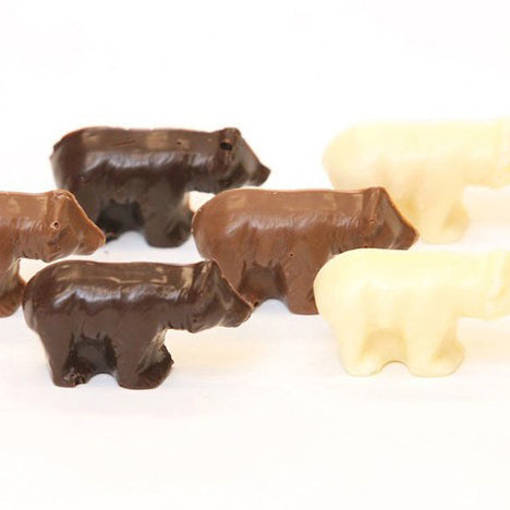 Mini Bears