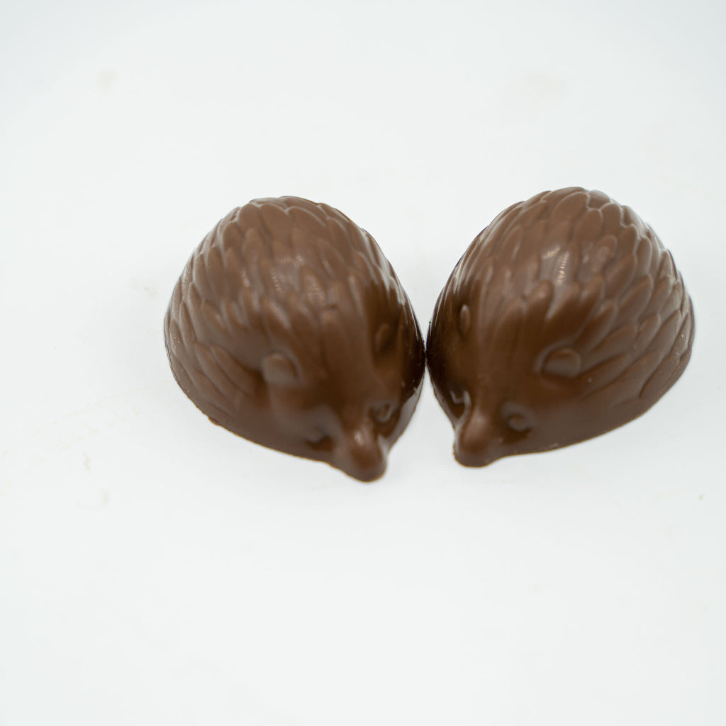 Hedgehogs