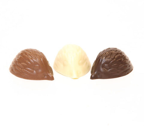 Hedgehogs