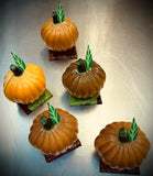 Pumpkin & 8 Chocolates and Truffles