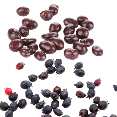Chocolate Covered Saskatoon Berries – Milk or Dark